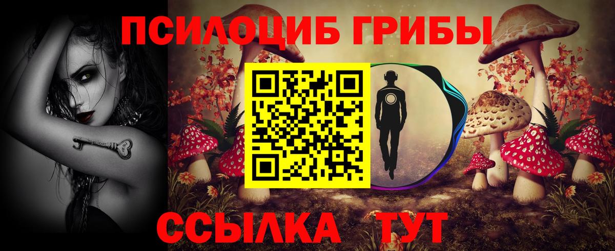 Галлюциногенные грибы Psilocybe Сегежа